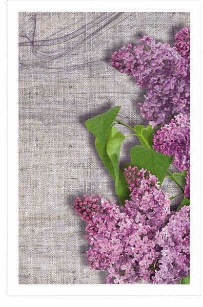 Poster floare de liliac pe pânză