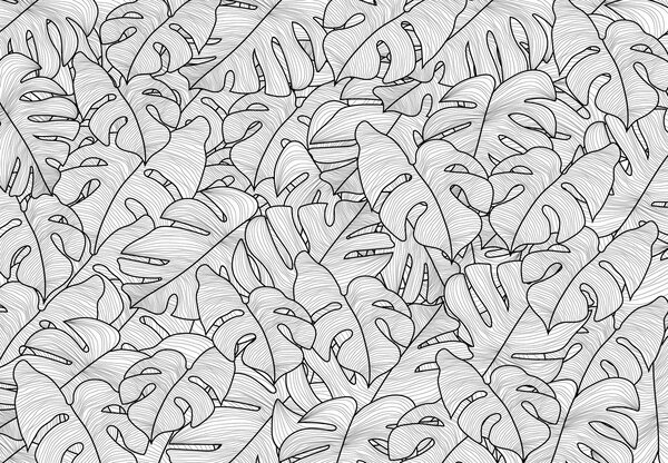 Fototapet - Frunze de monstera (147x102 cm)