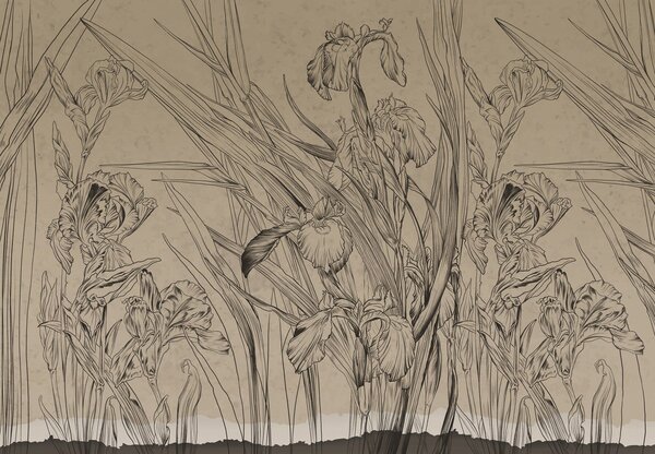 Fototapet - Contururile florilor (147x102 cm)