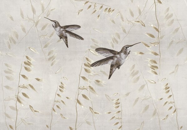 Fototapet - Colibri (147x102 cm)