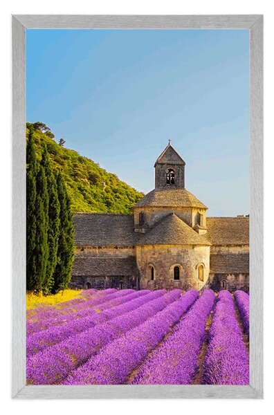 Poster Provence cu câmpuri de lavandă