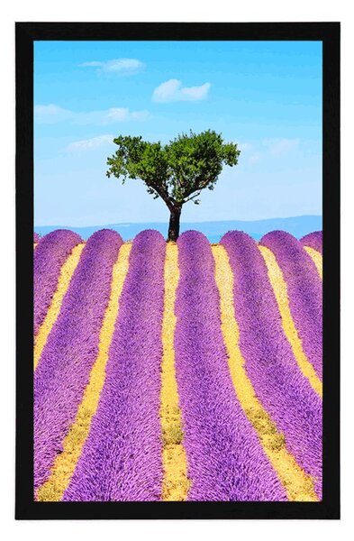 Poster câmpuri provensale de lavandă
