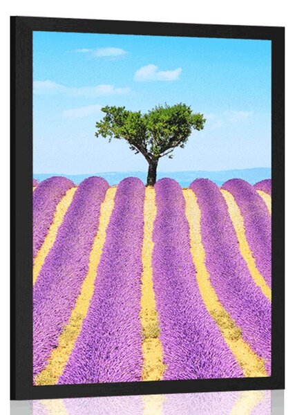 Poster câmpuri provensale de lavandă