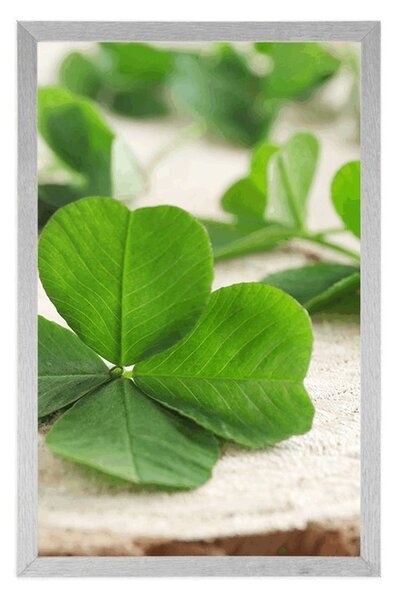 Poster trifoi cu patru foi verde