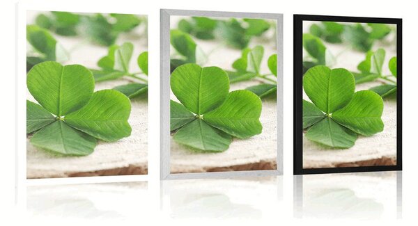 Poster trifoi cu patru foi verde