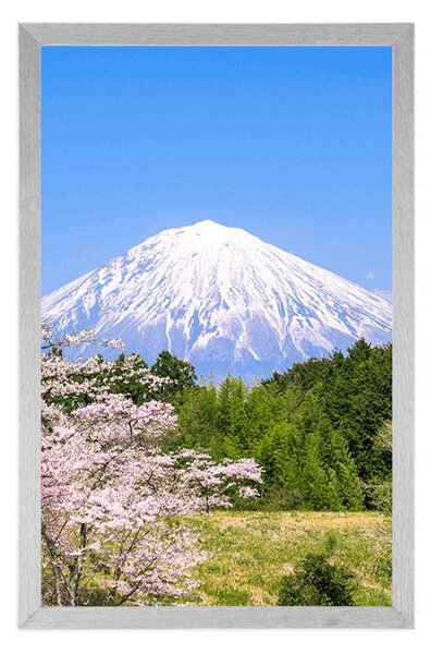 Poster vulcanul Fuji