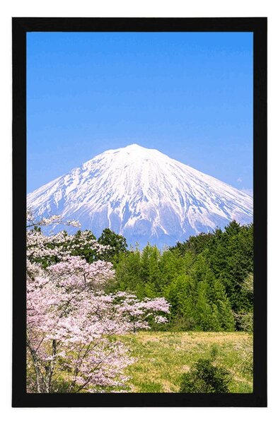 Poster vulcanul Fuji