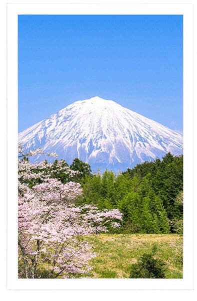 Poster vulcanul Fuji