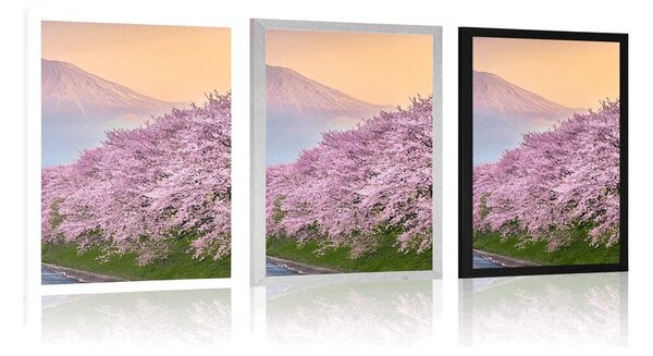 Poster Japonia frumoasă