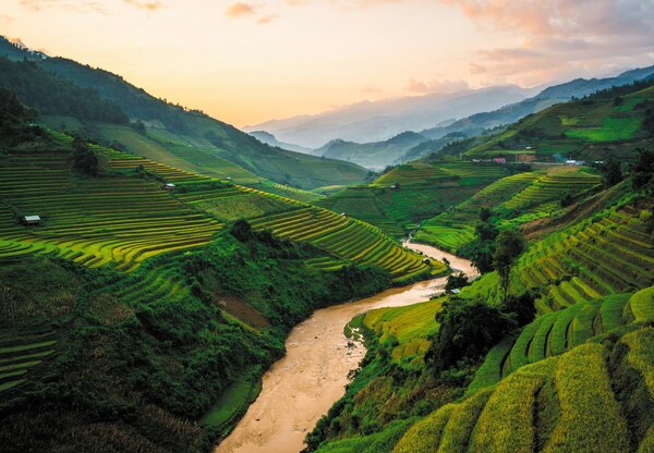 Fototapet - Câmpul de orez Mu Cang Chai (147x102 cm)