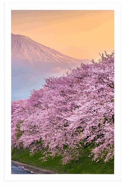 Poster Japonia frumoasă