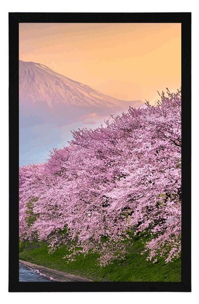 Poster Japonia frumoasă
