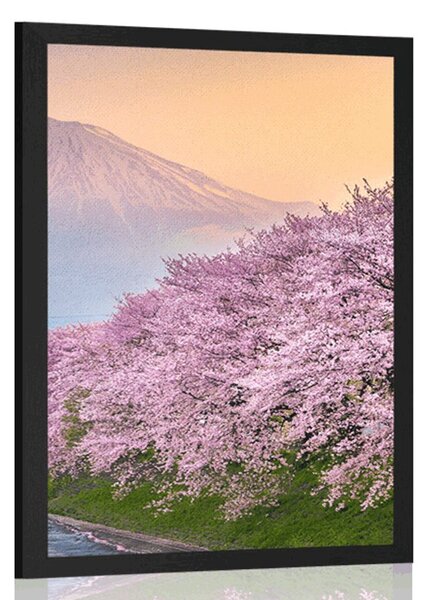 Poster Japonia frumoasă