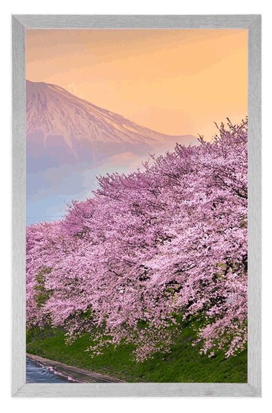 Poster Japonia frumoasă