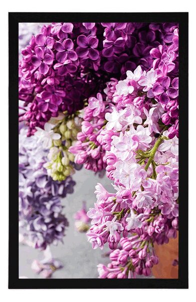 Poster liliac în nuanțe de roz