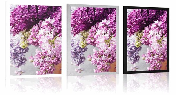 Poster liliac în nuanțe de roz