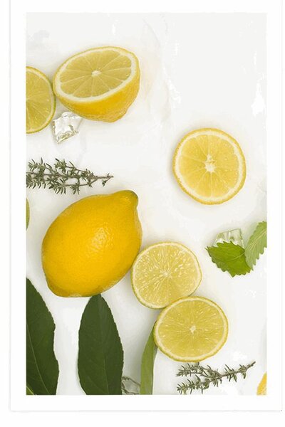 Poster amestec de fructe citrice