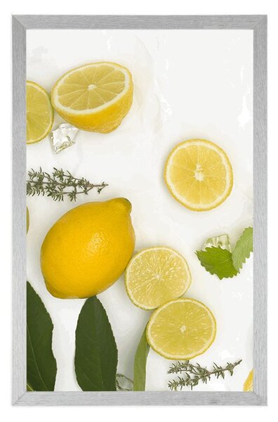 Poster amestec de fructe citrice