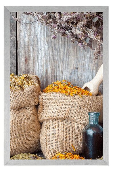 Poster plante medicinale