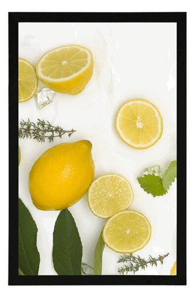 Poster amestec de fructe citrice
