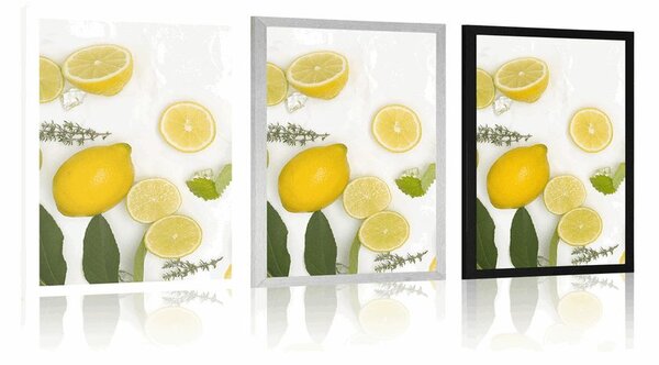 Poster amestec de fructe citrice