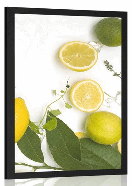 Poster mix de fructe citrice