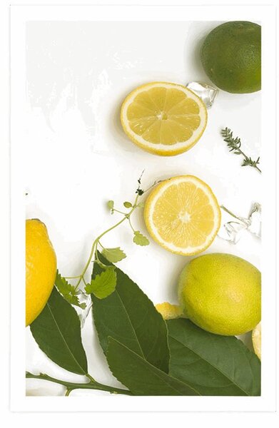 Poster mix de fructe citrice