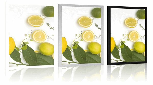 Poster mix de fructe citrice