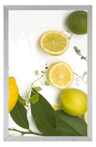 Poster mix de fructe citrice