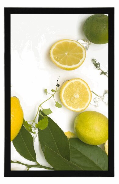 Poster mix de fructe citrice