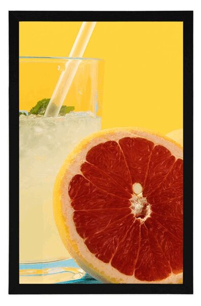 Poster limonadă cu fructe