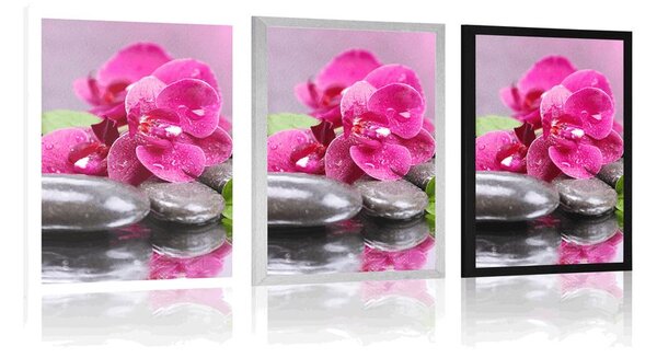 Poster orhidee cu atingere de relaxare