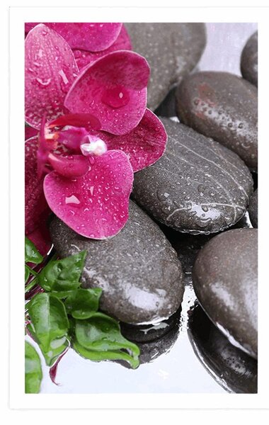 Poster orhidee înflorite și pietre de wellness