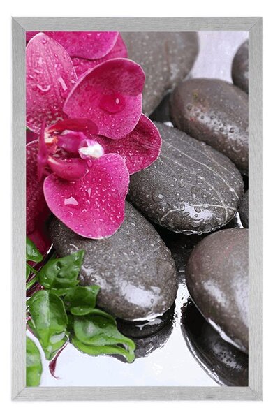 Poster orhidee înflorite și pietre de wellness