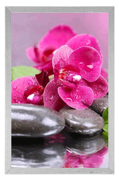 Poster orhidee cu atingere de relaxare