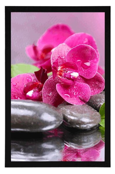 Poster orhidee cu atingere de relaxare