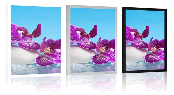 Poster natură moartă wellness