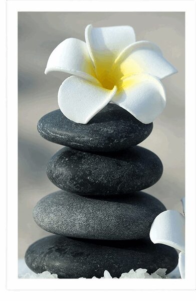 Poster pietre armonioase si o floare de plumeria