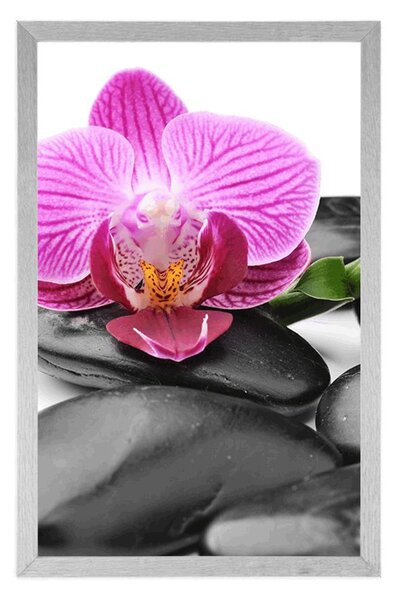 Poster pietre wellness de masaj