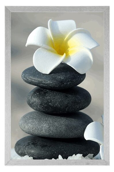 Poster pietre armonioase si o floare de plumeria