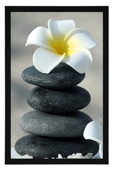 Poster pietre armonioase si o floare de plumeria