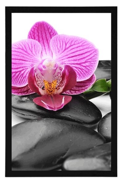 Poster pietre wellness de masaj