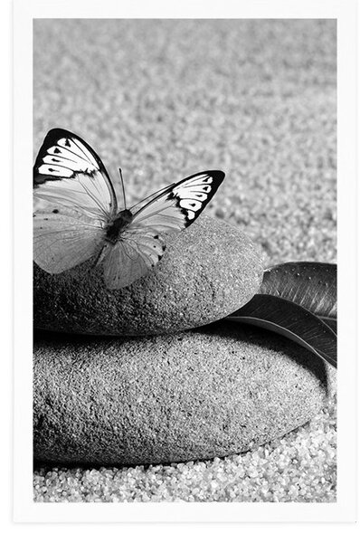 Poster fluture pe piatră Zen în design alb-negru
