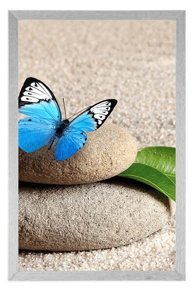 Poster fluture albastru pe piatră Zen