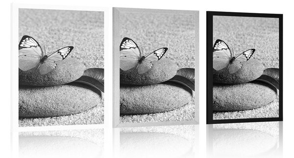 Poster fluture pe piatră Zen în design alb-negru