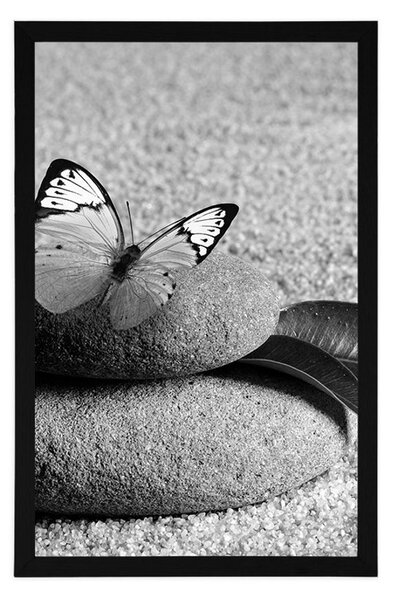 Poster fluture pe piatră Zen în design alb-negru