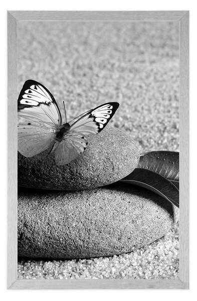 Poster fluture pe piatră Zen în design alb-negru