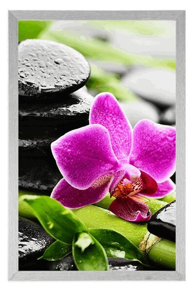 Poster natură moartă wellness cu orhidee violetă