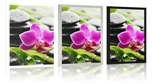 Poster natură moartă wellness cu orhidee violetă