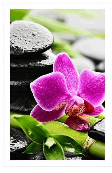 Poster natură moartă wellness cu orhidee violetă